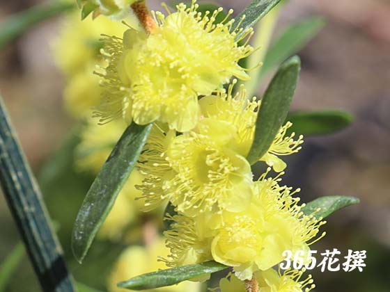 �q�|�J���}