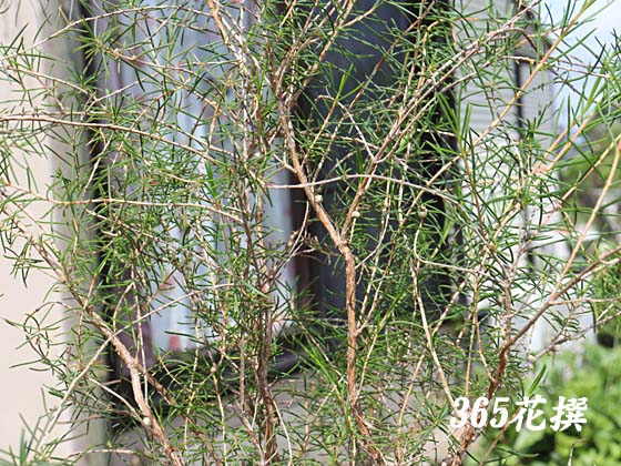 �q�|�J���}